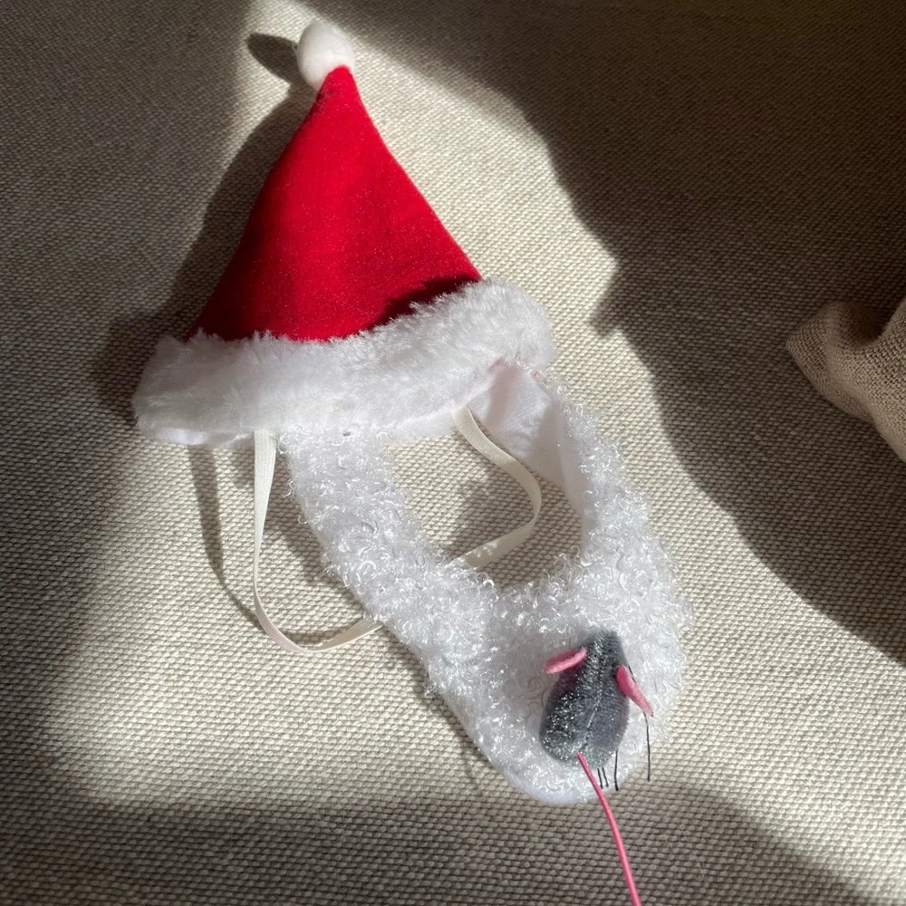 🎅 Cat Santa Costume | Festive Holiday Outfit | Christmas Pet Costume
